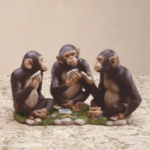 3 chimps