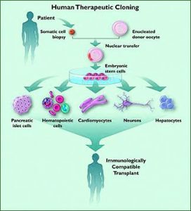 HumanCloning